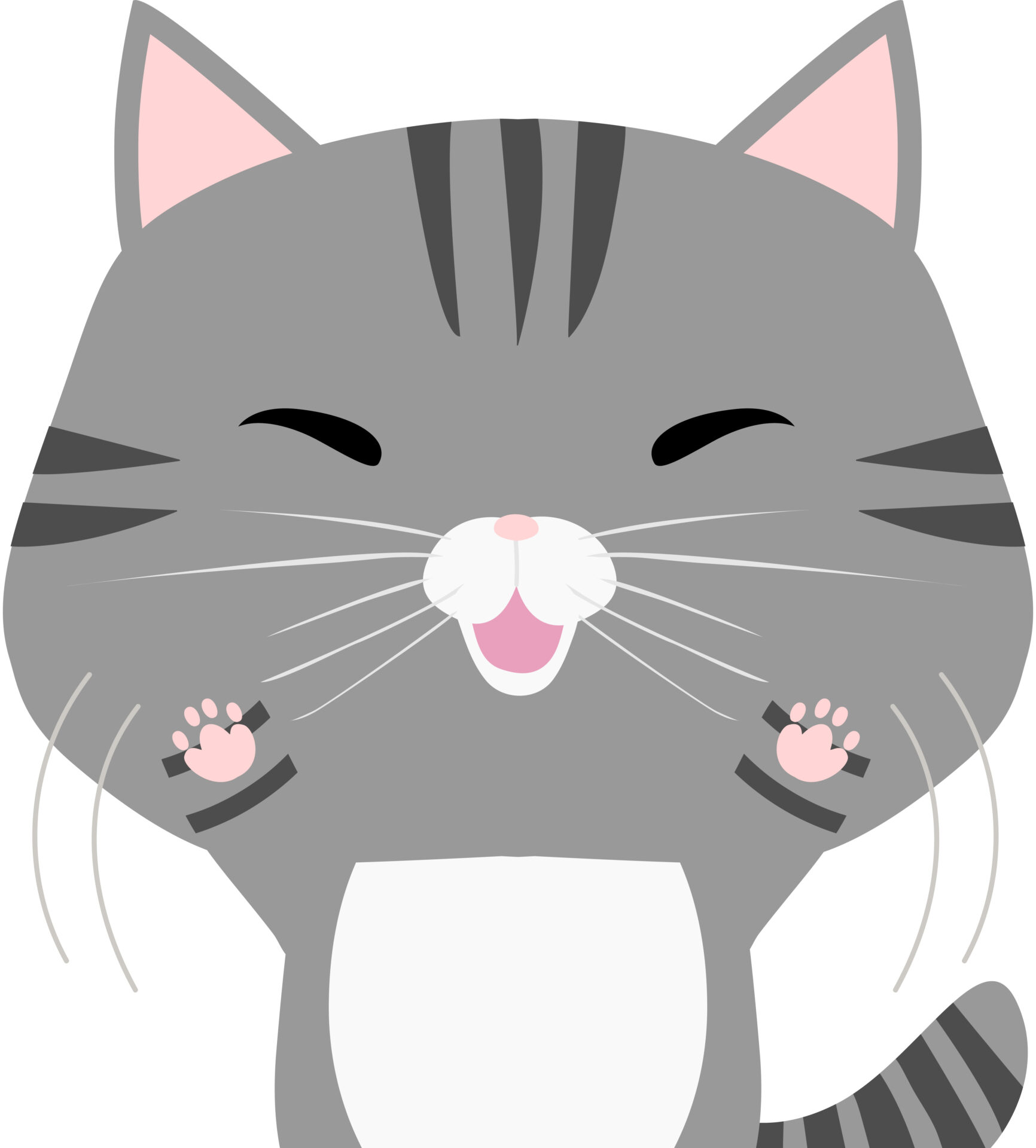 猫のおもちゃ 本当に遊ぶものだけ